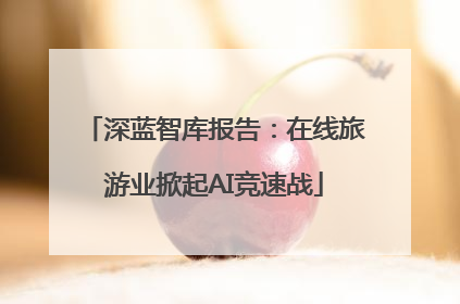深蓝智库报告：在线旅游业掀起AI竞速战
