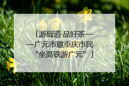 游蜀道·品好茶——广元市邀重庆市民“坐高铁游广元”