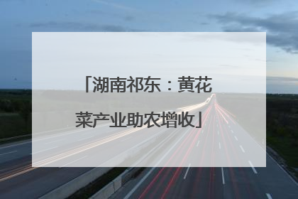 湖南祁东：黄花菜产业助农增收
