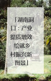湖南洞口：产业提质增效 绘就乡村振兴新图景