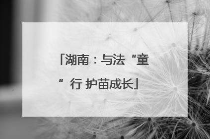 湖南：与法“童”行 护苗成长