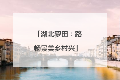 湖北罗田：路畅景美乡村兴