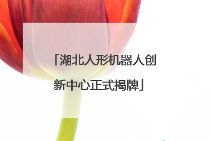 湖北人形机器人创新中心正式揭牌