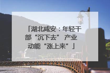 湖北咸安：年轻干部“沉下去” 产业动能“涨上来”