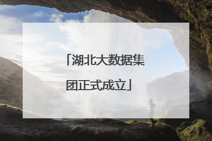 湖北大数据集团正式成立