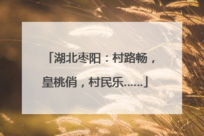 湖北枣阳：村路畅，皇桃俏，村民乐……