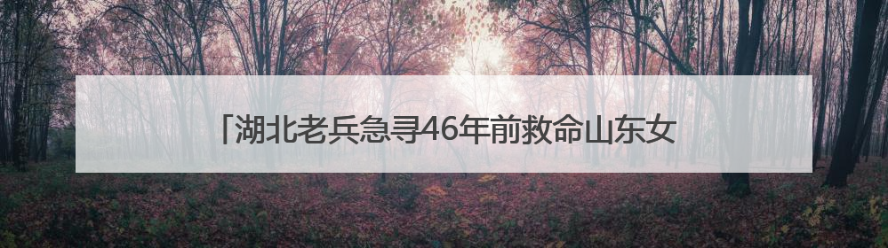 湖北老兵急寻46年前救命山东女护士：我的山东恩人，你在哪里？