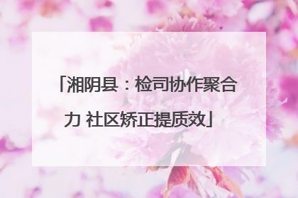 湘阴县：检司协作聚合力 社区矫正提质效