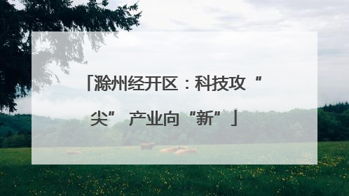 滁州经开区：科技攻“尖” 产业向“新”