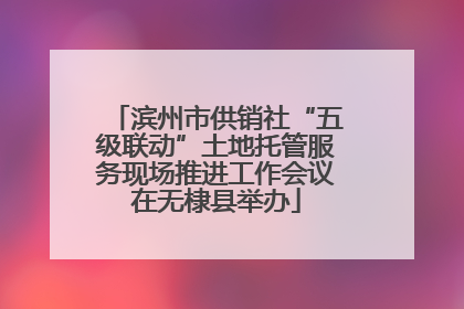 滨州市供销社“五级联动”土地托管服务现场推进工作会议在无棣县举办