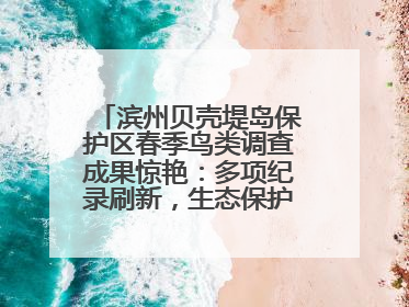 滨州贝壳堤岛保护区春季鸟类调查成果惊艳：多项纪录刷新，生态保护成效显著