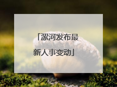 漯河发布最新人事变动