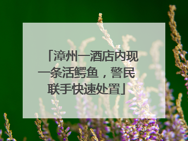 漳州一酒店内现一条活鳄鱼，警民联手快速处置