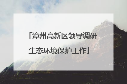 漳州高新区领导调研生态环境保护工作