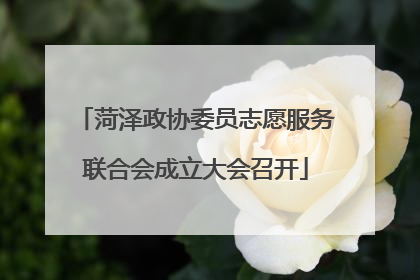 菏泽政协委员志愿服务联合会成立大会召开