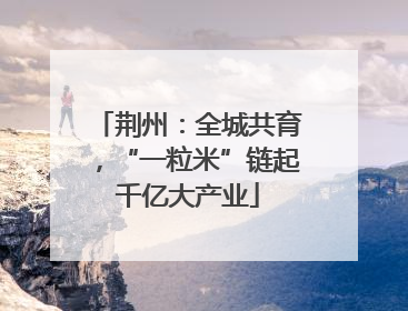 荆州：全城共育，“一粒米”链起千亿大产业