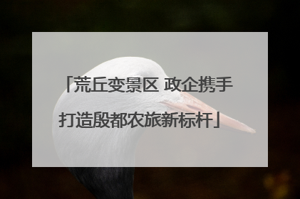 荒丘变景区 政企携手打造殷都农旅新标杆
