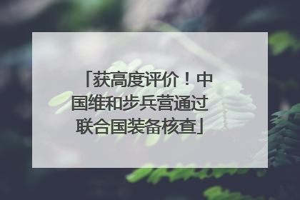 获高度评价！中国维和步兵营通过联合国装备核查