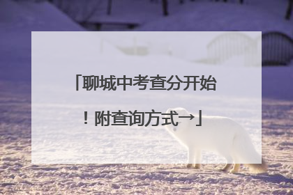 聊城中考查分开始！附查询方式→