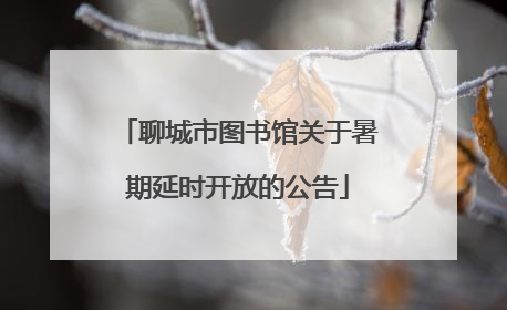 聊城市图书馆关于暑期延时开放的公告