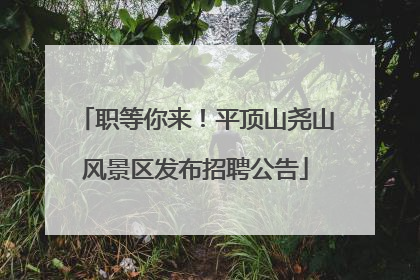 职等你来！平顶山尧山风景区发布招聘公告