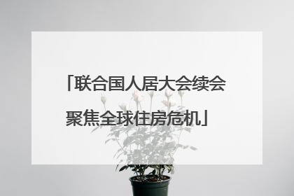 联合国人居大会续会聚焦全球住房危机