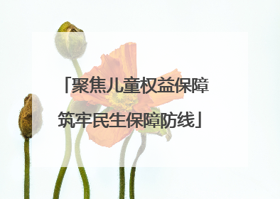 聚焦儿童权益保障 筑牢民生保障防线