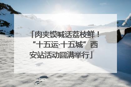 肉夹馍喊话荔枝鲜！“十五运·十五城”西安站活动圆满举行