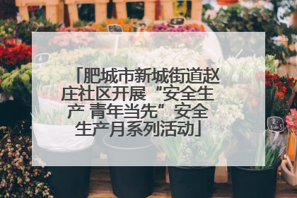 肥城市新城街道赵庄社区开展“安全生产 青年当先”安全生产月系列活动