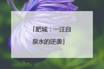 肥城：一汪自泉水的逆袭