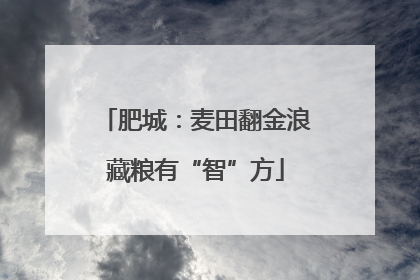 肥城：麦田翻金浪藏粮有“智”方