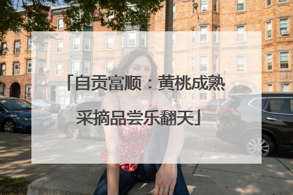 自贡富顺：黄桃成熟 采摘品尝乐翻天