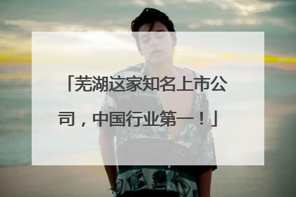 芜湖这家知名上市公司，中国行业第一！