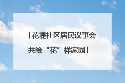 花堤社区居民议事会共绘“花”样家园