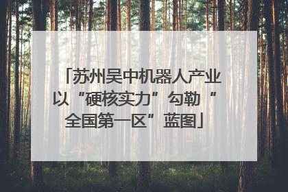 苏州吴中机器人产业以“硬核实力”勾勒“全国第一区”蓝图