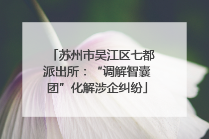 苏州市吴江区七都派出所：“调解智囊团”化解涉企纠纷