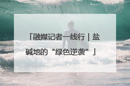 融媒记者一线行｜盐碱地的“绿色逆袭”