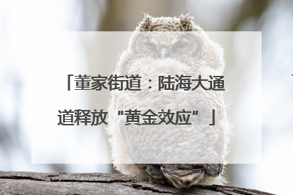 董家街道：陆海大通道释放“黄金效应”