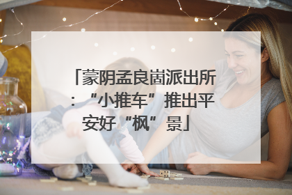 蒙阴孟良崮派出所：“小推车”推出平安好“枫”景