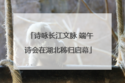 诗咏长江文脉 端午诗会在湖北秭归启幕