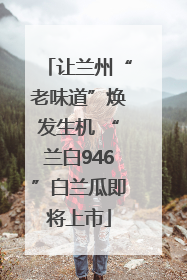 让兰州“老味道”焕发生机 “兰白946”白兰瓜即将上市
