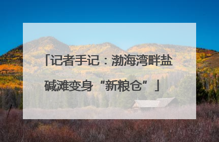记者手记：渤海湾畔盐碱滩变身“新粮仓”