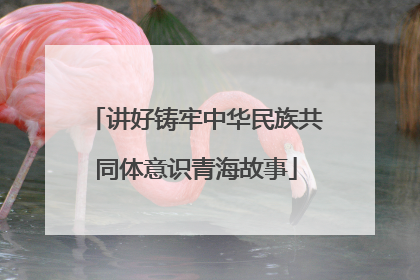讲好铸牢中华民族共同体意识青海故事