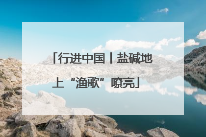 行进中国丨盐碱地上“渔歌”嘹亮