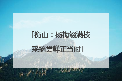 衡山：杨梅缀满枝 采摘尝鲜正当时