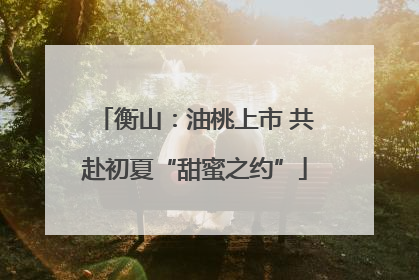 衡山：油桃上市 共赴初夏“甜蜜之约”