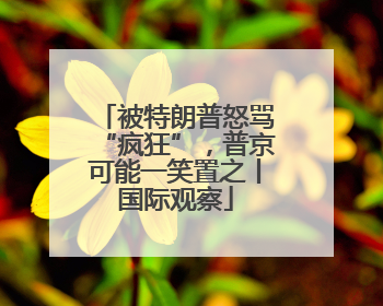被特朗普怒骂“疯狂”，普京可能一笑置之丨国际观察