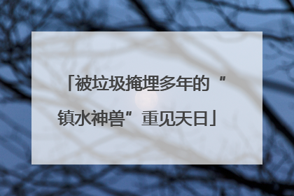 被垃圾掩埋多年的“镇水神兽”重见天日