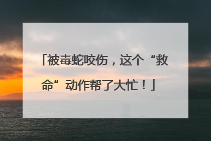 被毒蛇咬伤，这个“救命”动作帮了大忙！