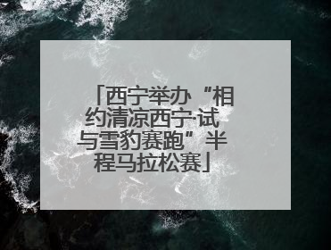 西宁举办“相约清凉西宁·试与雪豹赛跑”半程马拉松赛